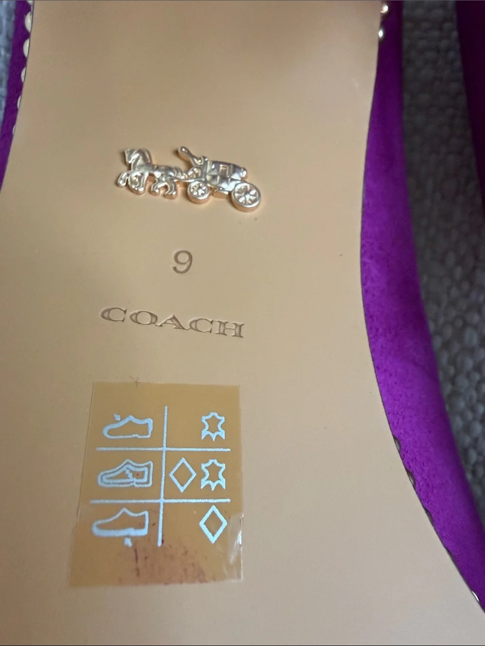 Coach Fuchsia Suede Pointed-Toe Pumps with Studded Trim in box